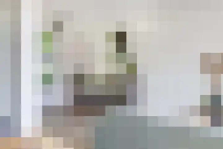Hendrik Consciencelaan 36 Bladel thumbnail 17
