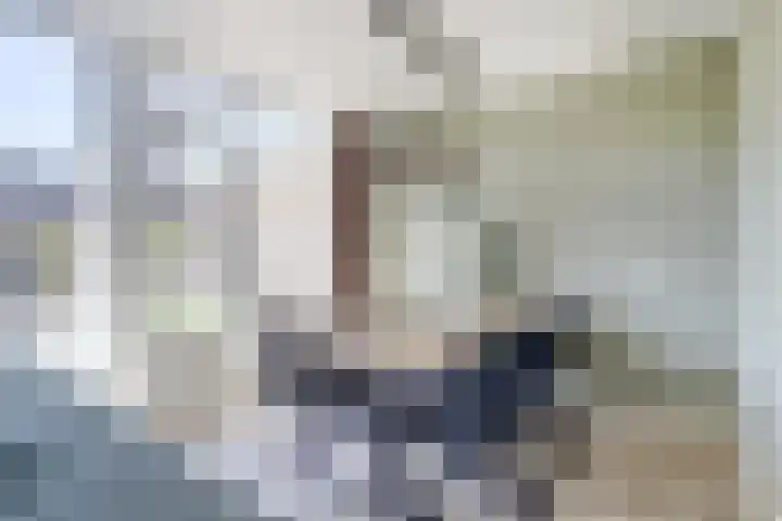 Hendrik Consciencelaan 36 Bladel thumbnail 20