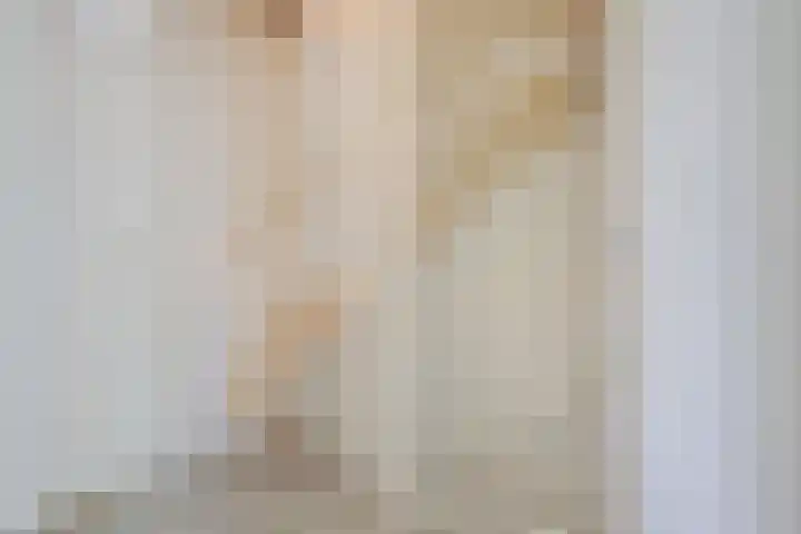 Hendrik Consciencelaan 36 Bladel thumbnail 23