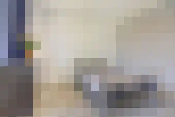 Hendrik Consciencelaan 36 Bladel thumbnail 28