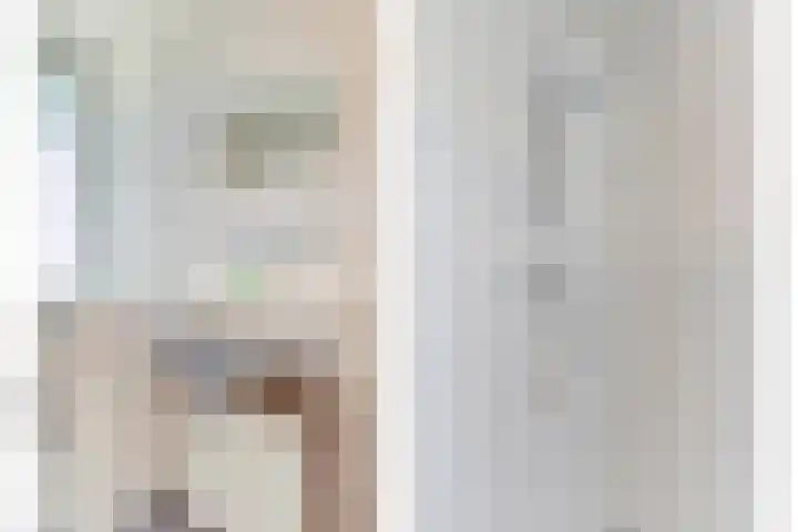 Hendrik Consciencelaan 36 Bladel thumbnail 34
