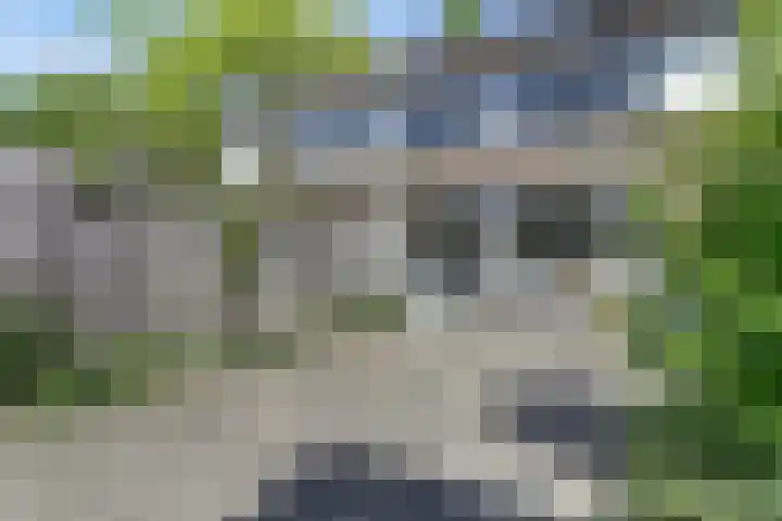 Hendrik Consciencelaan 36 Bladel thumbnail 44