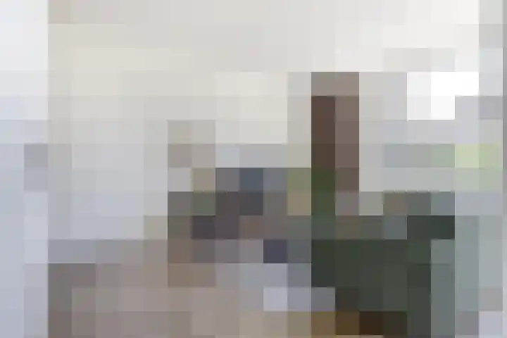 Hendrik Consciencelaan 36 Bladel thumbnail 7