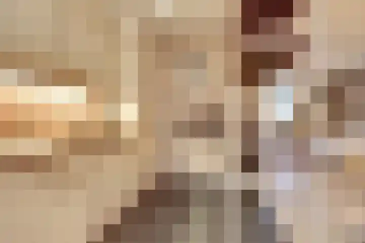 Hendrik Consciencelaan 40 Bladel thumbnail 14