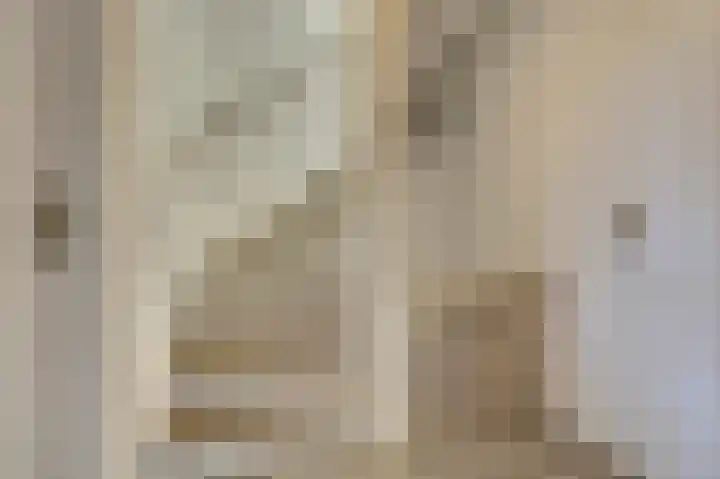 Hendrik Consciencelaan 40 Bladel thumbnail 18