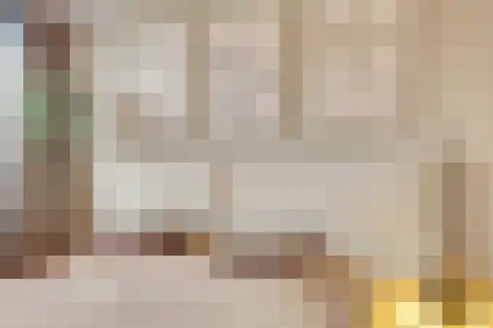 Hendrik Consciencelaan 40 Bladel thumbnail 21