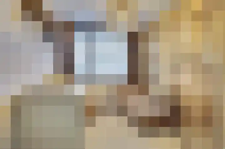 Hendrik Consciencelaan 40 Bladel thumbnail 23