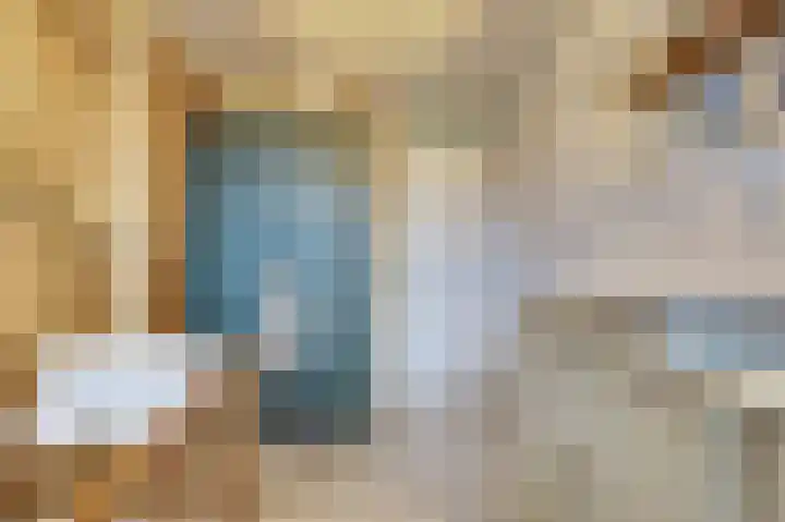Hendrik Consciencelaan 40 Bladel thumbnail 25