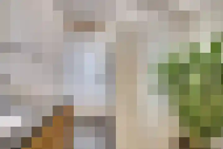 Hendrik Consciencelaan 40 Bladel thumbnail 29