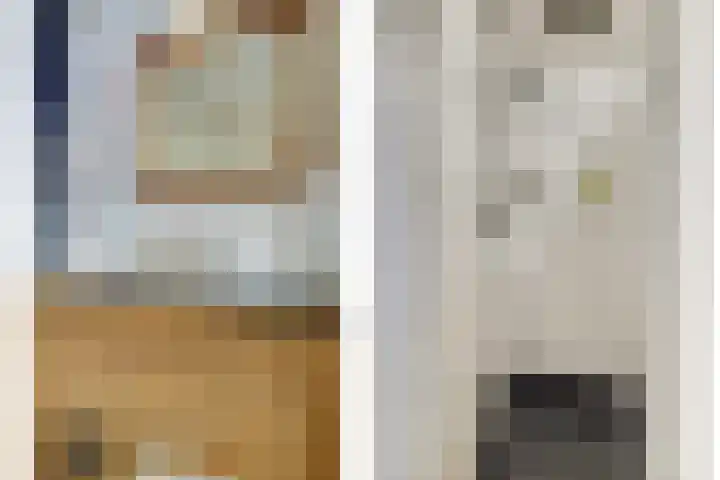 Hendrik Consciencelaan 40 Bladel thumbnail 30