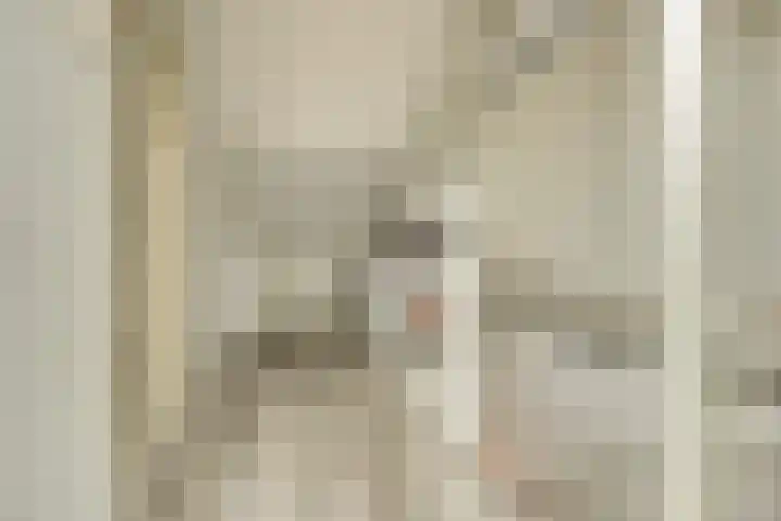 Hendrik Consciencelaan 40 Bladel thumbnail 31