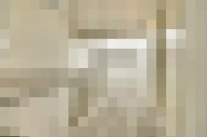 Hendrik Consciencelaan 40 Bladel thumbnail 32