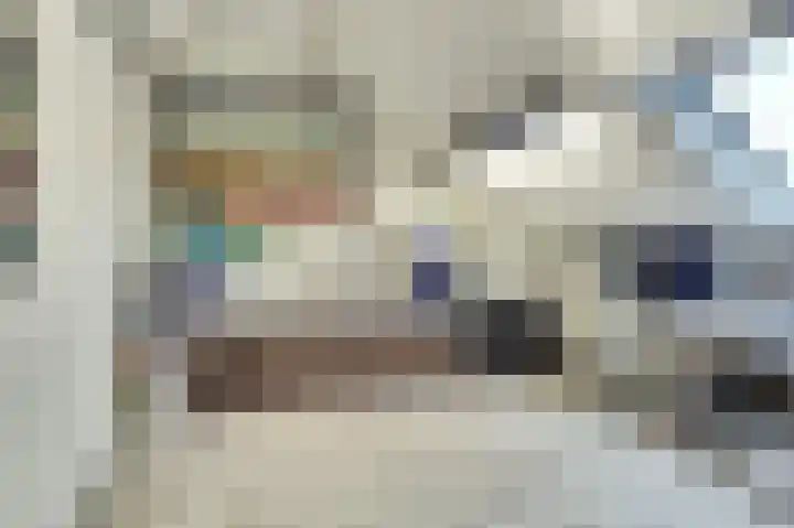 Hendrik Consciencelaan 40 Bladel thumbnail 33