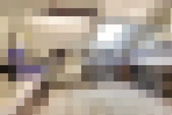 Hendrik Consciencelaan 40 Bladel thumbnail 34