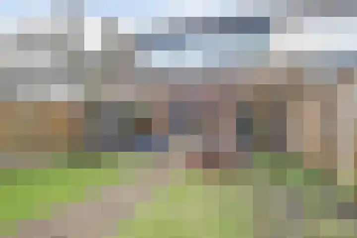 Hendrik Consciencelaan 40 Bladel thumbnail 37