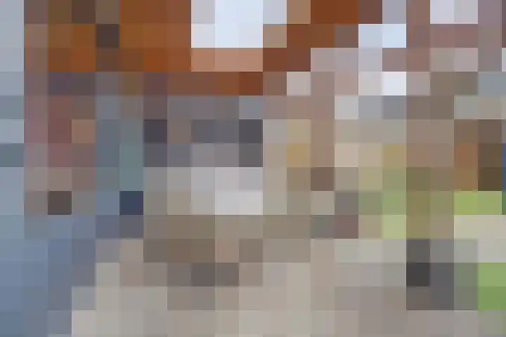 Hendrik Consciencelaan 40 Bladel thumbnail 39