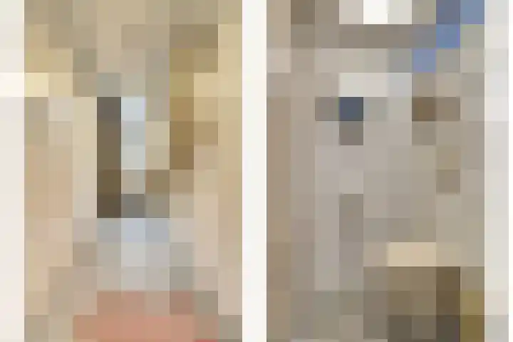 Hendrik Consciencelaan 40 Bladel thumbnail 4