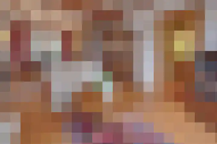 Hendriklaan 14 Susteren thumbnail 11