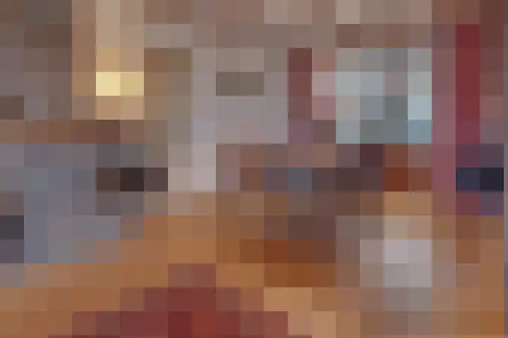 Hendriklaan 14 Susteren thumbnail 13