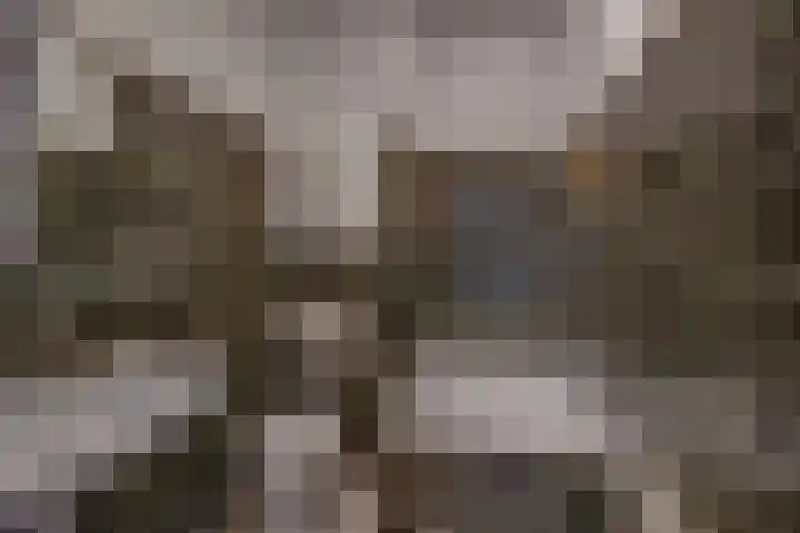 Hendriklaan 14 Susteren thumbnail 36