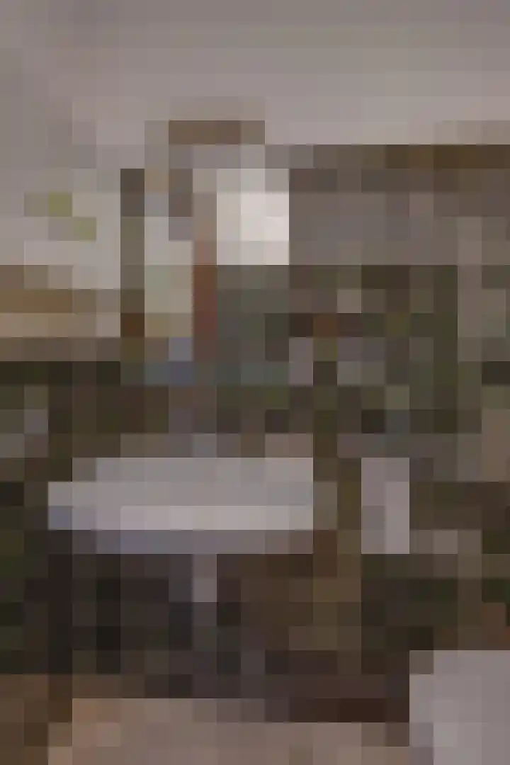 Hendriklaan 14 Susteren thumbnail 38