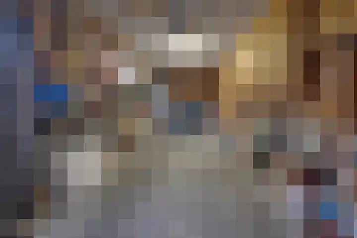 Hendriklaan 14 Susteren thumbnail 41
