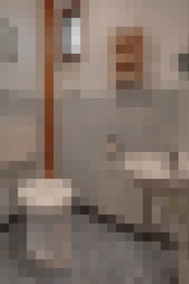 Hendriklaan 14 Susteren thumbnail 7