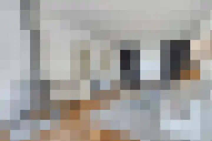 Hendriklaan 5 Oss thumbnail 10
