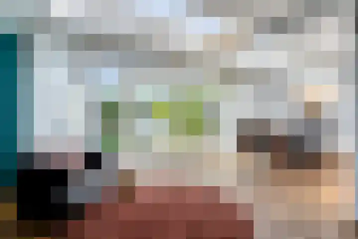 Hendriklaan 5 Oss thumbnail 13