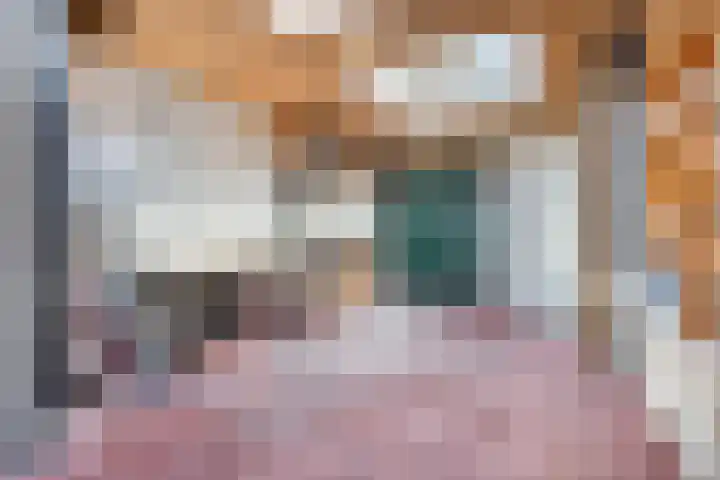 Hendriklaan 5 Oss thumbnail 16