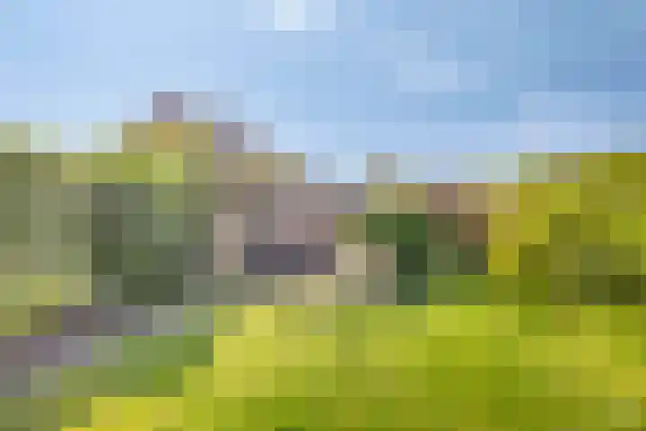 Hendriklaan 5 Oss thumbnail 18