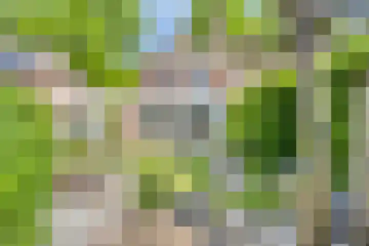 Hendriklaan 5 Oss thumbnail 19