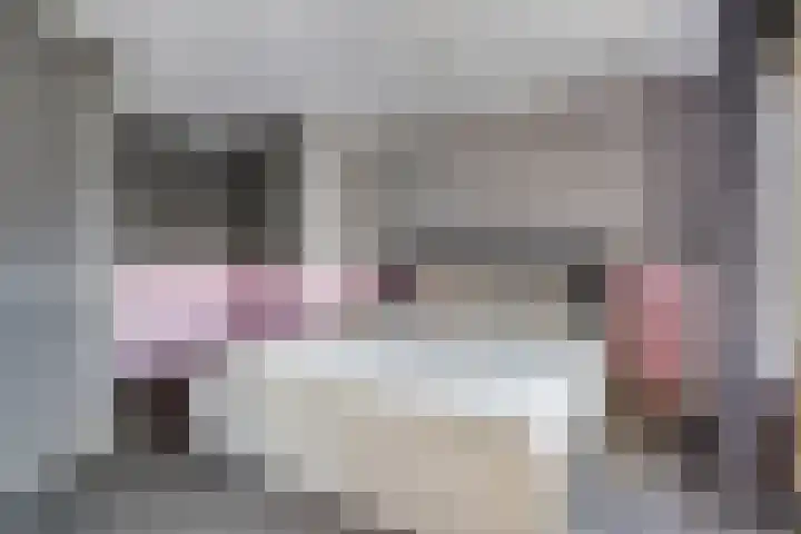 Hendriklaan 5 Oss thumbnail 22