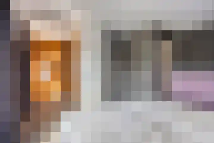 Hendriklaan 5 Oss thumbnail 24