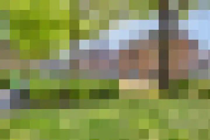 Hendriklaan 5 Oss thumbnail 34