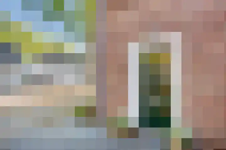 Hendriklaan 5 Oss thumbnail 6