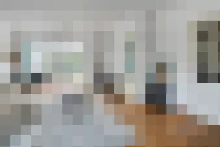 Hendriklaan 5 Oss thumbnail 9