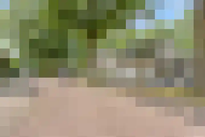Hendriklaan 8 in Oss
