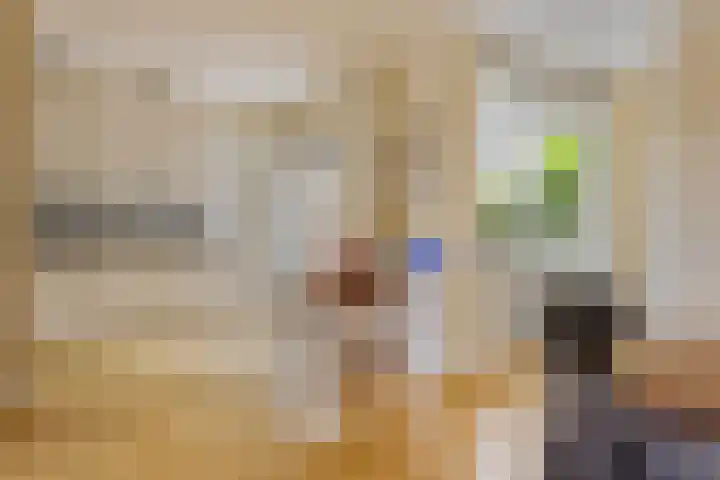 Hendriklaan 8 Oss thumbnail 10
