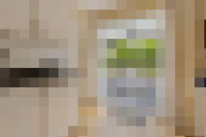 Hendriklaan 8 Oss thumbnail 11