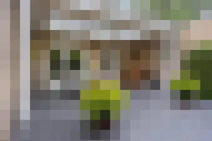 Hendriklaan 8 Oss thumbnail 12