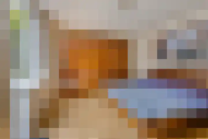 Hendriklaan 8 Oss thumbnail 13