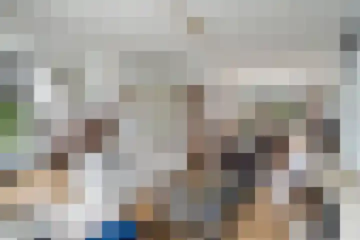Hendriklaan 8 Oss thumbnail 15