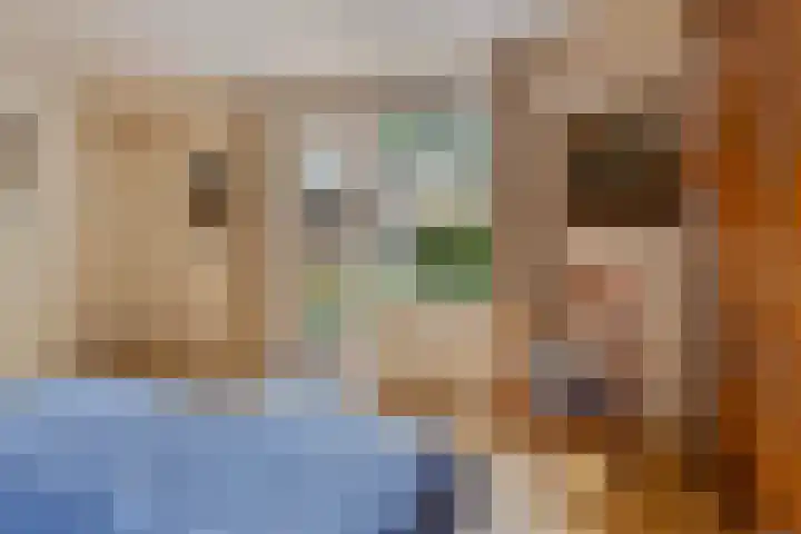 Hendriklaan 8 Oss thumbnail 15