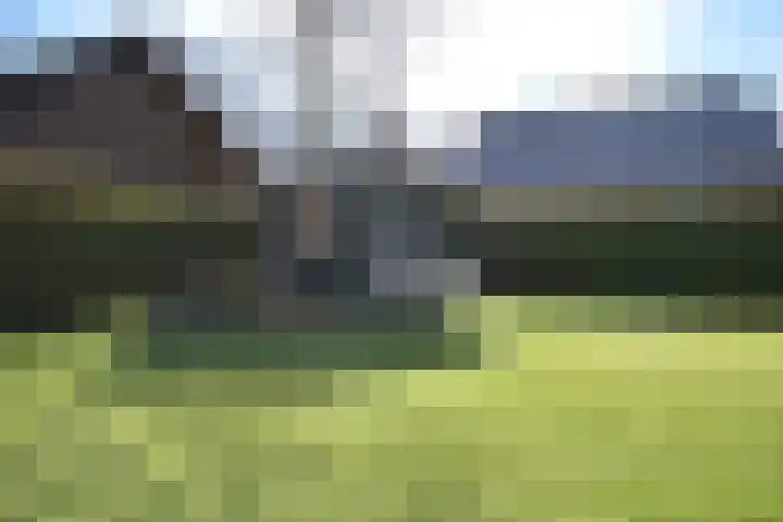 Hendriklaan 8 Oss thumbnail 16