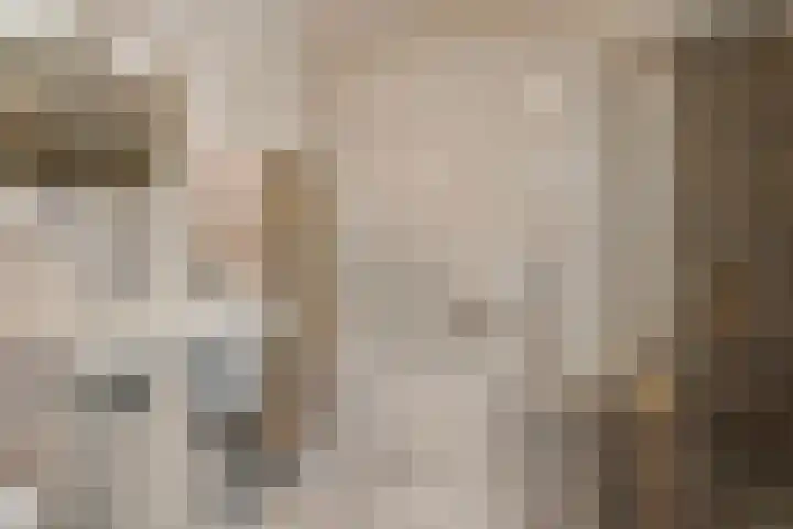 Hendriklaan 8 Oss thumbnail 17