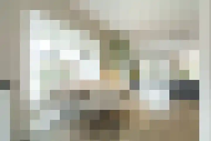 Hendriklaan 8 Oss thumbnail 23