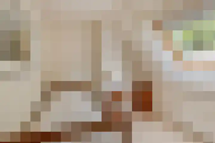 Hendriklaan 8 Oss thumbnail 23