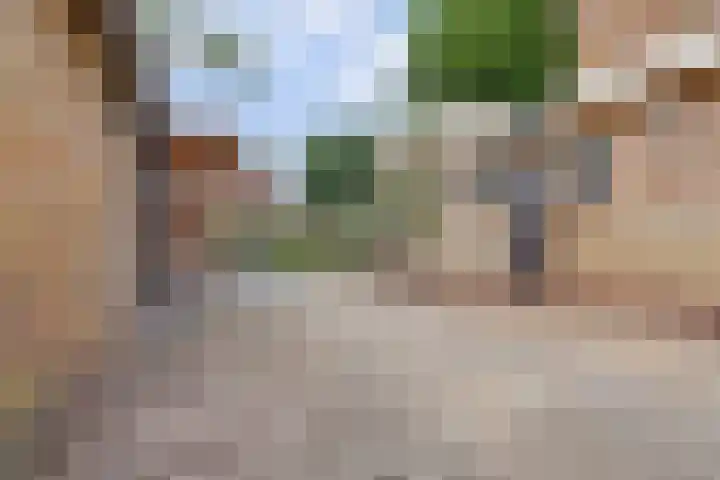 Hendriklaan 8 Oss thumbnail 25