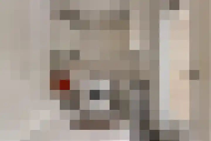 Hendriklaan 8 Oss thumbnail 29